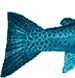 xx